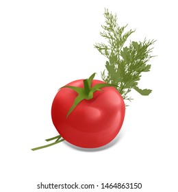 The Red Tomato Green Raw Parsley And Bunch Of Fresh Dill Spice Ingredient For Healthy Food Or Salad, Vector EPS 10 Format