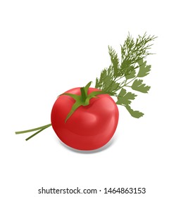 The Red Tomato Green Raw Parsley And Bunch Of Fresh Dill Spice Ingredient For Healthy Food Or Salad, Vector EPS 10 Format