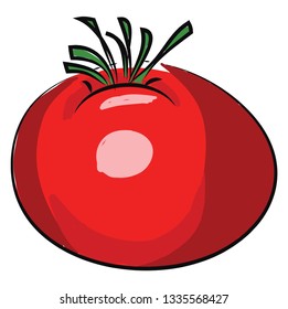 A red tomato with a green sepal, vector, color drawing or illustration.