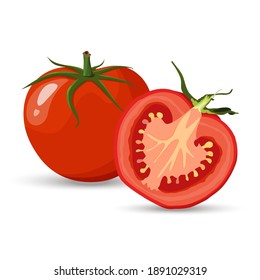 Red tomato and half tomatoes and slice with green leaves flat vector style