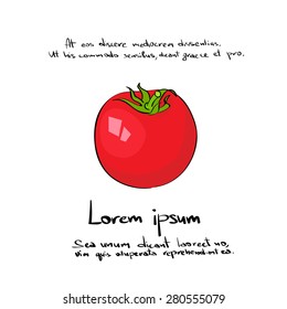 Red Tomato Hand Draw Logo Color Icon Set Vector Illustration