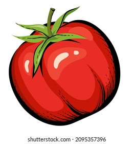 Red tomato hand drawn icon, vector illustration isolated on white background. Fresh red whole tomato vegetable.