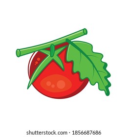 red tomato icon.green leaf. good for vegetable logo,icon and symbol