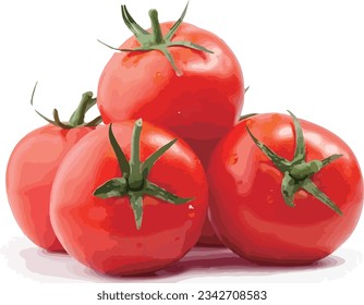 Red tomato illustration vector file