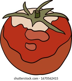 Red tomato, illustration, vector on white background.
