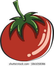 Tomate rojo, ilustración, vector sobre fondo blanco.