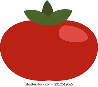 Tomate rojo, ilustración, vector sobre fondo blanco.