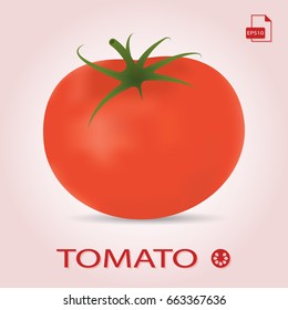Red tomato isolated on pink photo-realistic vector illustration