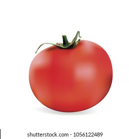 Red Tomato isolated on white. Tomato organic food photo-realistic vector illustration of healthy vitamin vegetable.