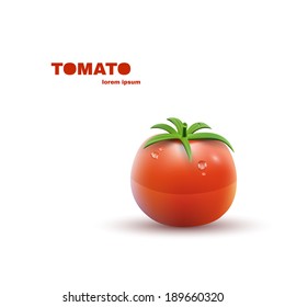 Red Tomato isolated on white Background. Vector