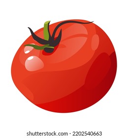 Tomate rojo aislado en un fondo blanco. Tomate entero fresco.
