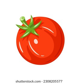 Red tomato isolated on white background. Vector illustration