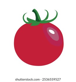 Red tomato isolated on white background. Vector illustration.