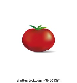 Red tomato isolated on a white background. Vector illustration