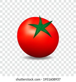 Red tomato, isolated vector illustration.