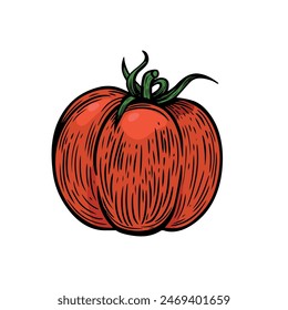 Red tomato line drawing isolated on white background.