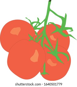 red tomato on a brunch
