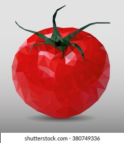  Red  tomato on a grey background