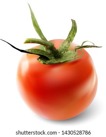 Red tomato on a white background. Vector realistic illustration