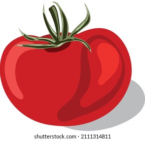 Red tomato on a white background. Vector image. Illustration.