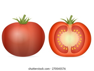 Red tomato on a white background. Vector illustration.