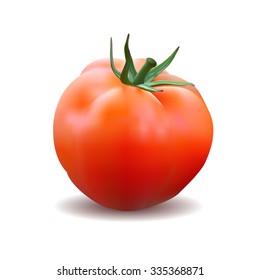 red tomato on a white background. vector realistic illustration