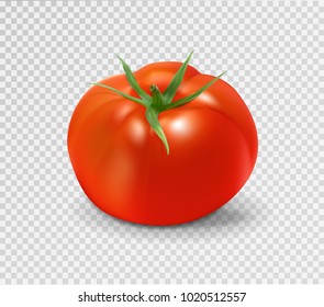 Red tomato. Realistic vector illustration