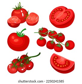 Vegetable maduro de tomate rojo como conjunto de vectores de comida orgánica