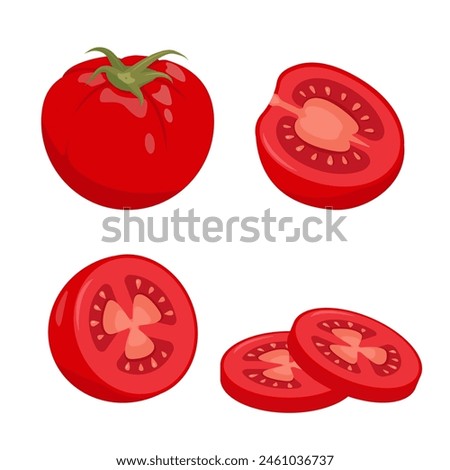 Red Tomato set. Whole and parts of farm tomatoes plant icons. Organic vegetables vegetarian food. Vector illustration isolated on white background.