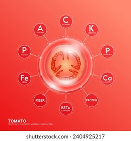 Red tomato slice in bubble. Fruits rich in vitamins minerals from natural. Vitamin C collagen potassium calcium iron with beta carotene essential to the health skin care and body. Vector EPS10.