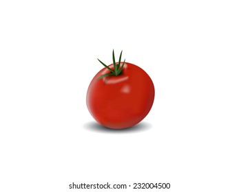 Red tomato vector illustration