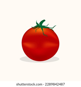 Rote Tomate, Vektorgrafik. frische Tomate, Tomate mit Blättern, Blumen und Tomatensamen. Cartoon-Gemüsesatz aus Elementen einzeln auf weißem Hintergrund.