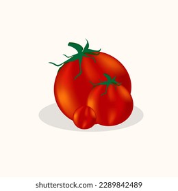 Ilustración vectorial de tomate rojo. tomate fresco, tomate con hojas, flores y semillas de tomate. Conjunto de verduras de dibujos animados de elementos aislados sobre fondo blanco.