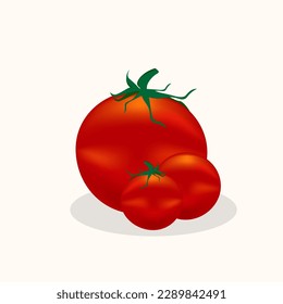 Red tomato vector illustration. fresh tomato, tomato with leaves, flowers and tomato seeds. Cartoon vegetable set of elements isolated on white background.