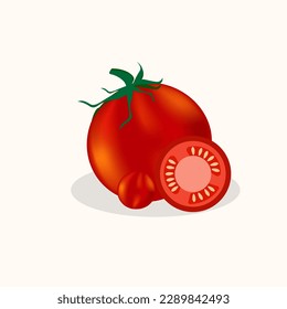 Red tomato vector illustration. fresh tomato, tomato with leaves, flowers and tomato seeds. Cartoon vegetable set of elements isolated on white background.