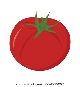 Red tomato vector illustration. fresh tomato, tomato with leaves, flowers and tomato seeds. Cartoon vegetable set of elements isolated on white background.