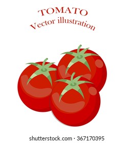 Red tomato. Vector illustration isolated on white background.