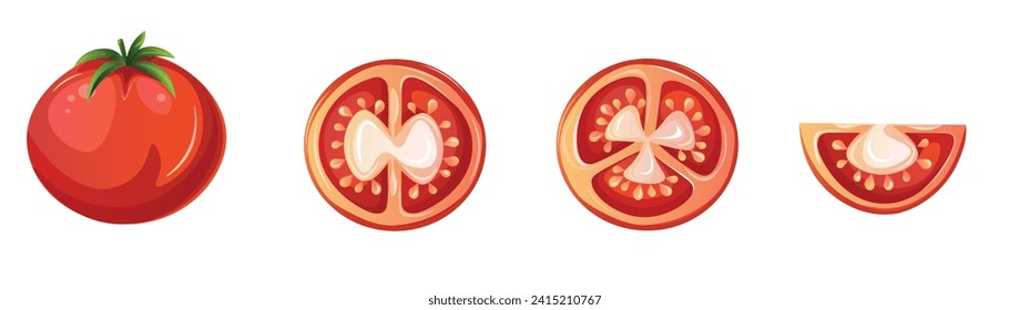 Red tomato vector illustration set. Cut tomato, tomato slice. Cartoon vegetable set of elements isolated on white background.