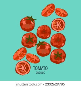 Red tomato vector illustration Slice tomatoes, slice tomatoes, leaves, and tomato seeds. Cartoon vegetables are a set of elements isolated on colorful backgrounds.