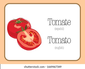 Ilustración vectorial de Tomate Rojo. Tomate - Diseño de tomate.