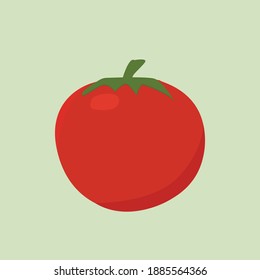 red tomato vector on green background