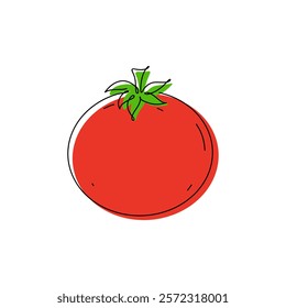 Red tomato, vegetable is hand-drawn in one continuous line, isolated on a white background, vector. The icon of raw healthy vegetarian food, decorations, decorations, labels. Ripe, juicy ingredient