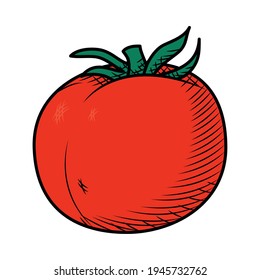 red tomato vegetable on background