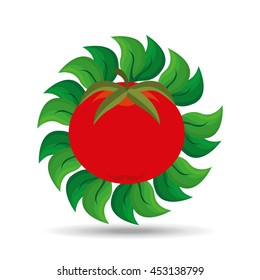 red tomato, vegetables and fruits, vector illustration
