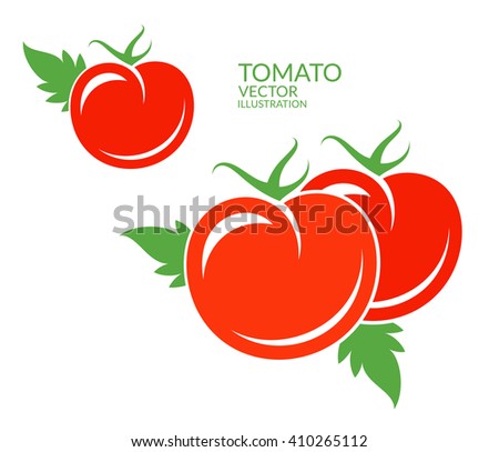 Red tomato vintage style. Vector illustration EPS. Isolated tomatoes with leaves on white background. Ripe vegetables icon
