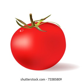 red tomato  with water drops