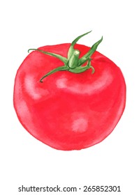 Red tomato. Watercolor. vector