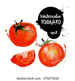 Red tomato watercolor vector food illustration. Nice for journal illustrations.