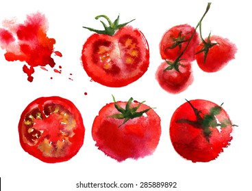 Red tomato watercolor vector food illustration