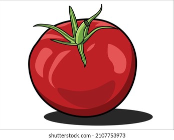 tomate rojo con fondo blanco
